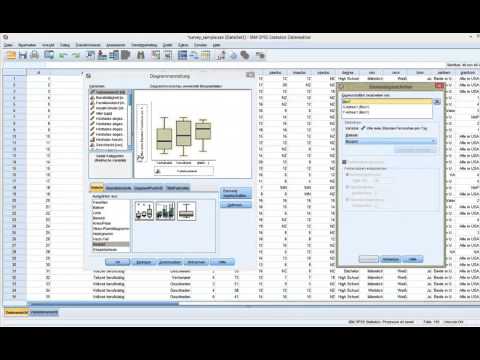 Boxplot-Diagramm mit Spss 23 erstellen