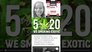 520 Cannabis Freedom Day #520 #cannabiseducation #cannawomanheal #freetheplant #freethepeople