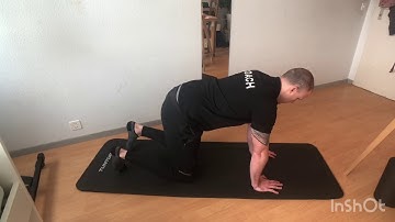 Quadruped Lumbar/Thoracic Flexion/Extension   Exercise Library