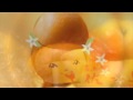 みかんの花咲く丘