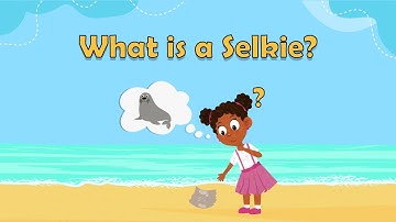 Selkies - What is a Selkie? - Magical creatures for kids - mythical creatures for kids - Fun facts
