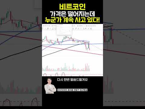 #비트코인 가격은 떨어지는데 누군가 계속 사고 있다! | 홍지윤 전문가