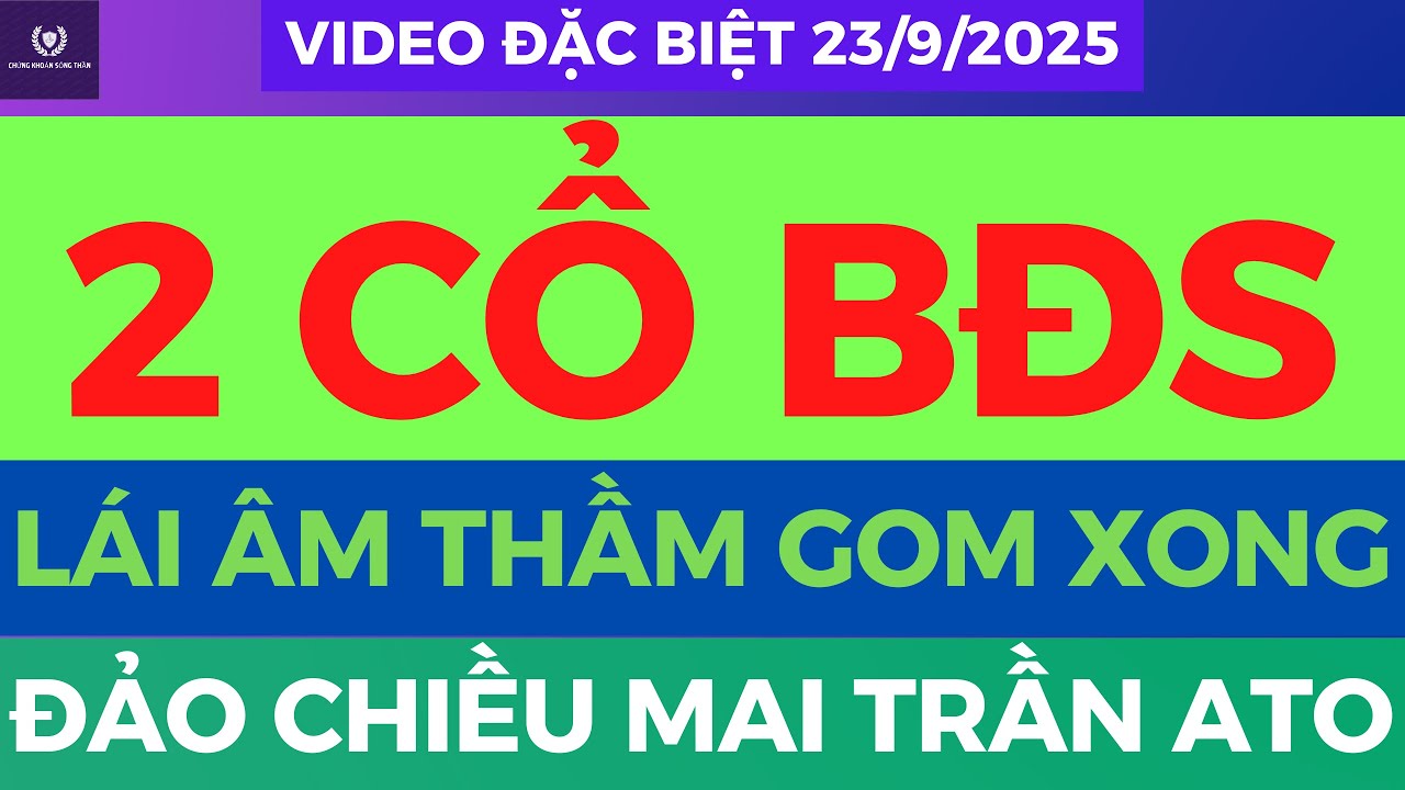 ✂️ 3 siêu phẩm lái full margin sẽ kéo thốc vào siêu sóng, dư địa tăng 50%