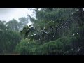 Gentle Rain Sounds On Leaves Without Thunder Brings Calmness For Sleep And Relax Gentle Rain Sounds On Leaves Without Thunder Brings Calmness For Sleep And Relax