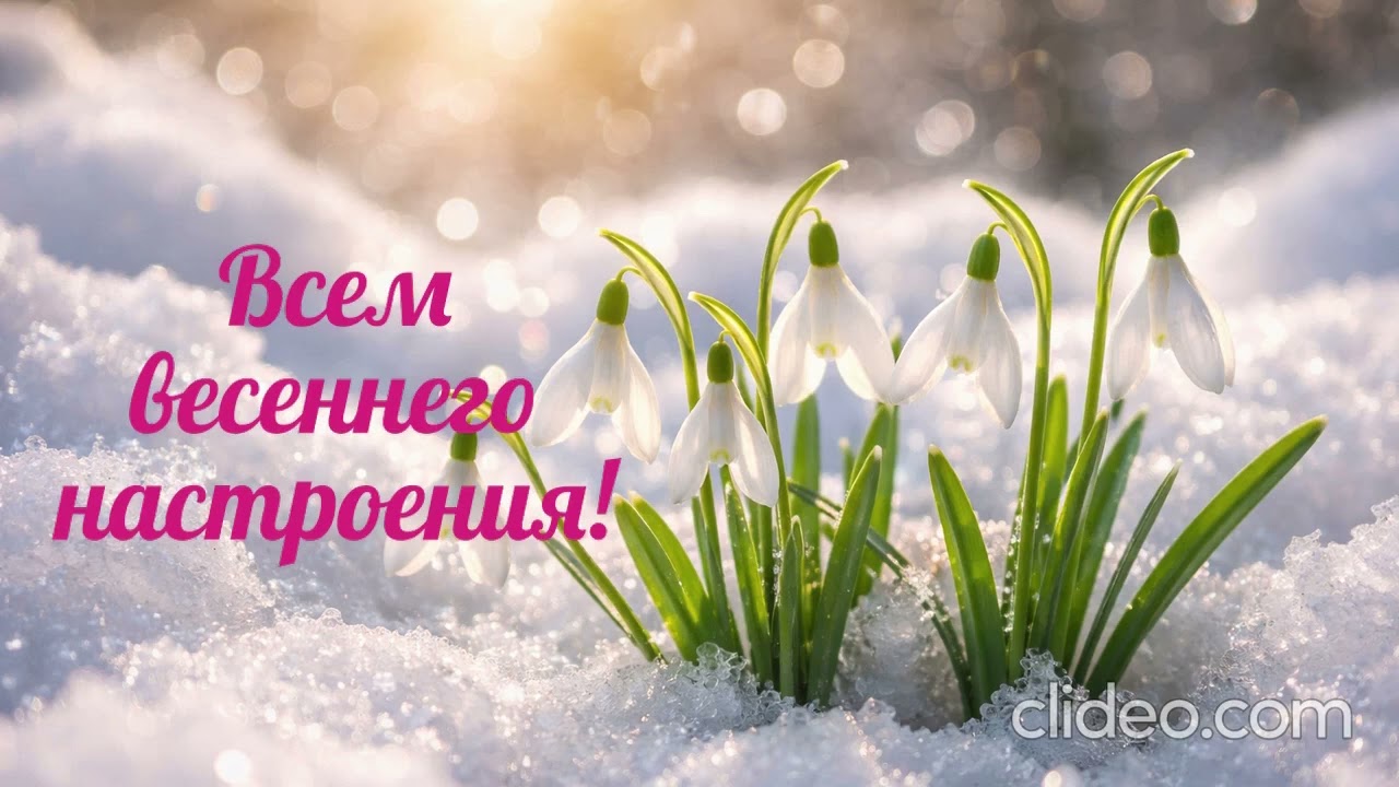 Инструментальная музыка 2026 