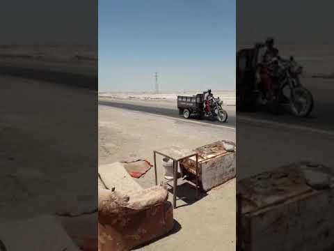 حملة لقتل الكلاب والجلاب السائبة الفاو ناحية البحار عباس لطيف واخوانه