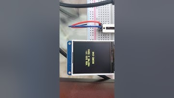 Lab10 Checkout Video