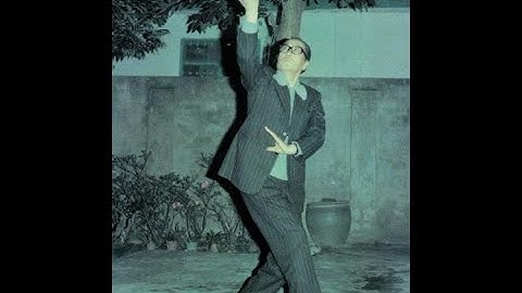 3rd Palm Change from Yin Fu Ba Gua Zhang