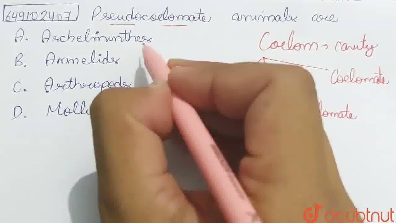 Pseudocoelomate animals are | CLASS 12 | NTSE STAGE 1 2020 | BIOLOGY | NTSE PREVIOUS YEAR PAPER ...