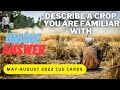 DESCRIBE A CROP THAT YOU ARE FAMILIAR WITH -- NEW CUE CARD FOR MAY to AUGUST 2022 #LatestCueCard