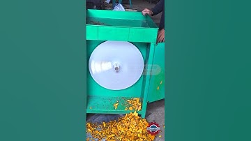 MESIN PERAJANG KUNYIT MEMUDAHKAN PROSES PENGOLAHAN KUNYIT DENGAN CEPAT DAN EFISIEN #agenmesin