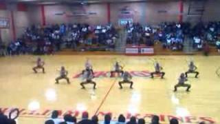 Raines High School Platinum Vikettes 1/8/11