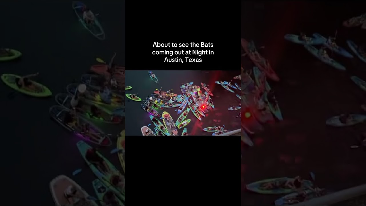 Watching bats come out at night in downtown Austin 