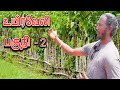 உயிர்வேலி பகுதி 2 | தமிழ்நாட்டில் முதல்முறையாக 80 அடி அகல உயிர்வேலி | உயிர்வேலி | Bio Hedge