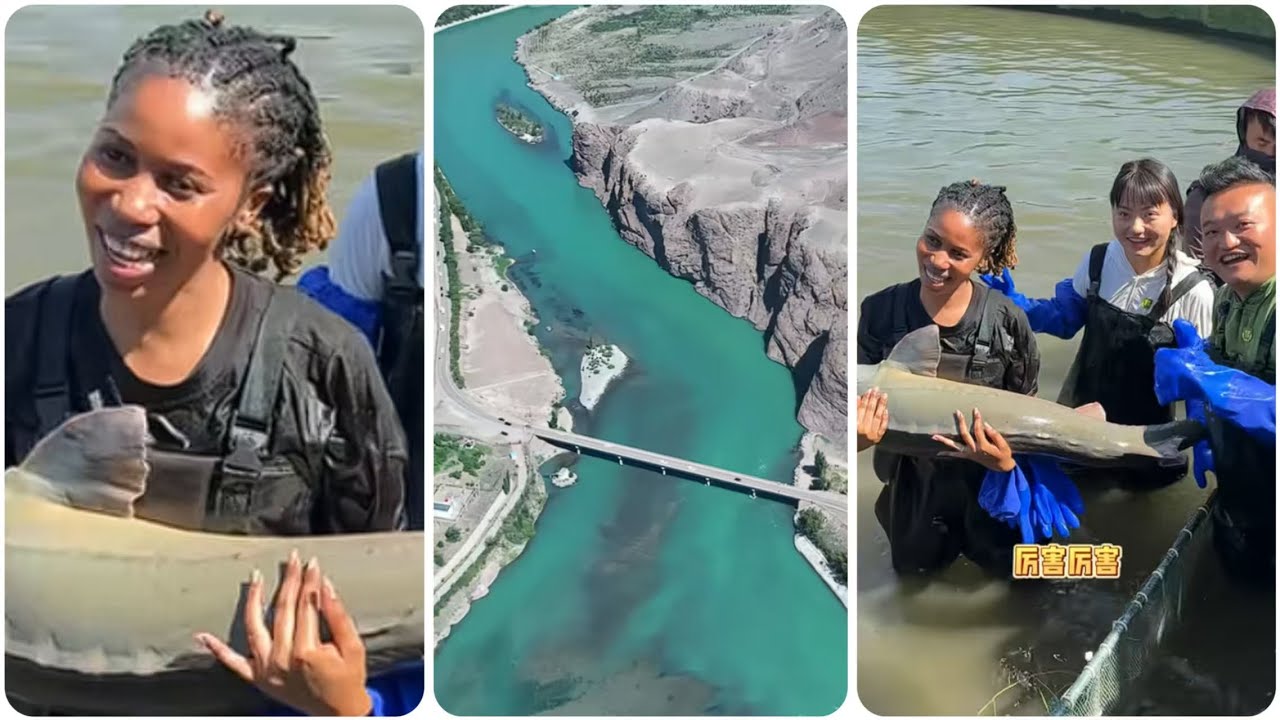 LaWu Arrives in Beautiful Xinjiang for an Epic Harvest Season!