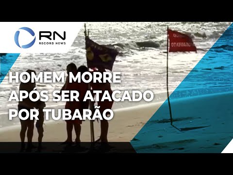 Vídeo: Mais De 50 Tubarões Mortos Foram Jogados Na Praia De Gales Ao Mesmo Tempo - - Visão Alternativa