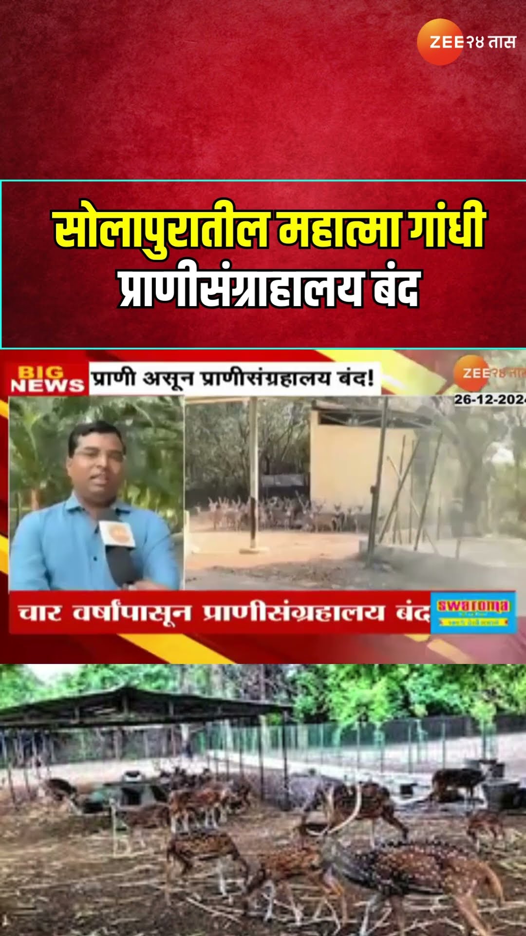 Solapur Mahatma Gandhi Animal Zoo Closed  सोलापुरातील प्राणी असून महात्मा गांधी प्राणीसंग्राहालय बंद