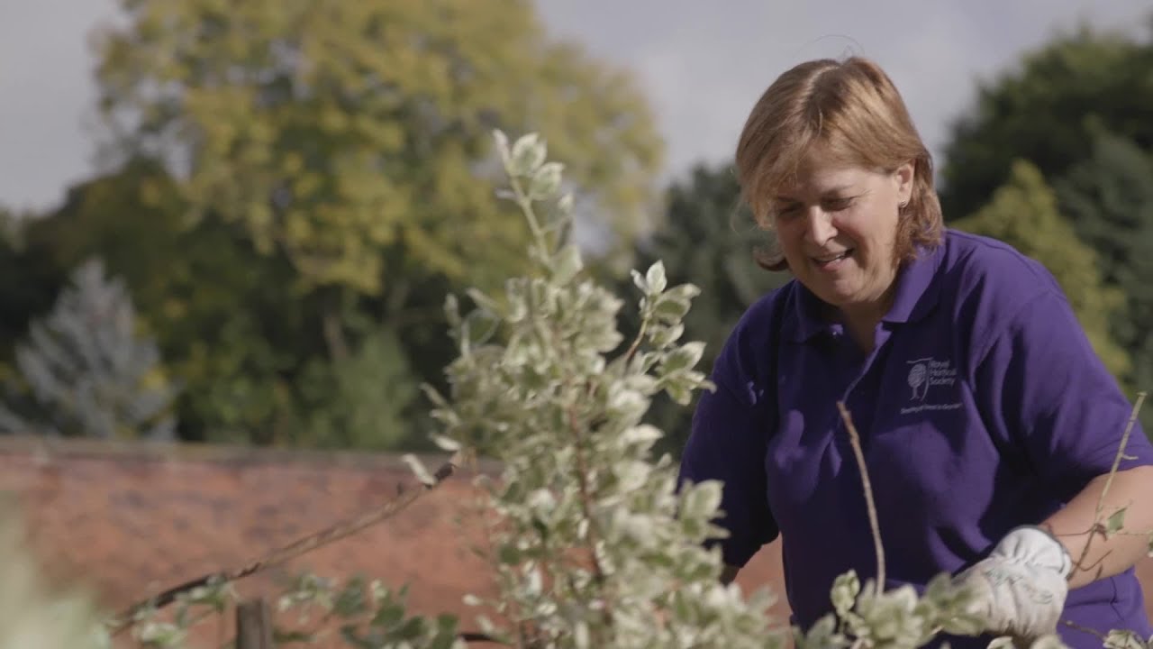 Meet the volunteers | RHS Garden Bridgewater | Royal Horticultural ...