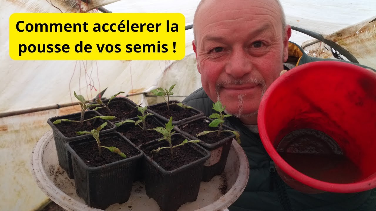 Comment accélérer la pousse de vos  semis ?