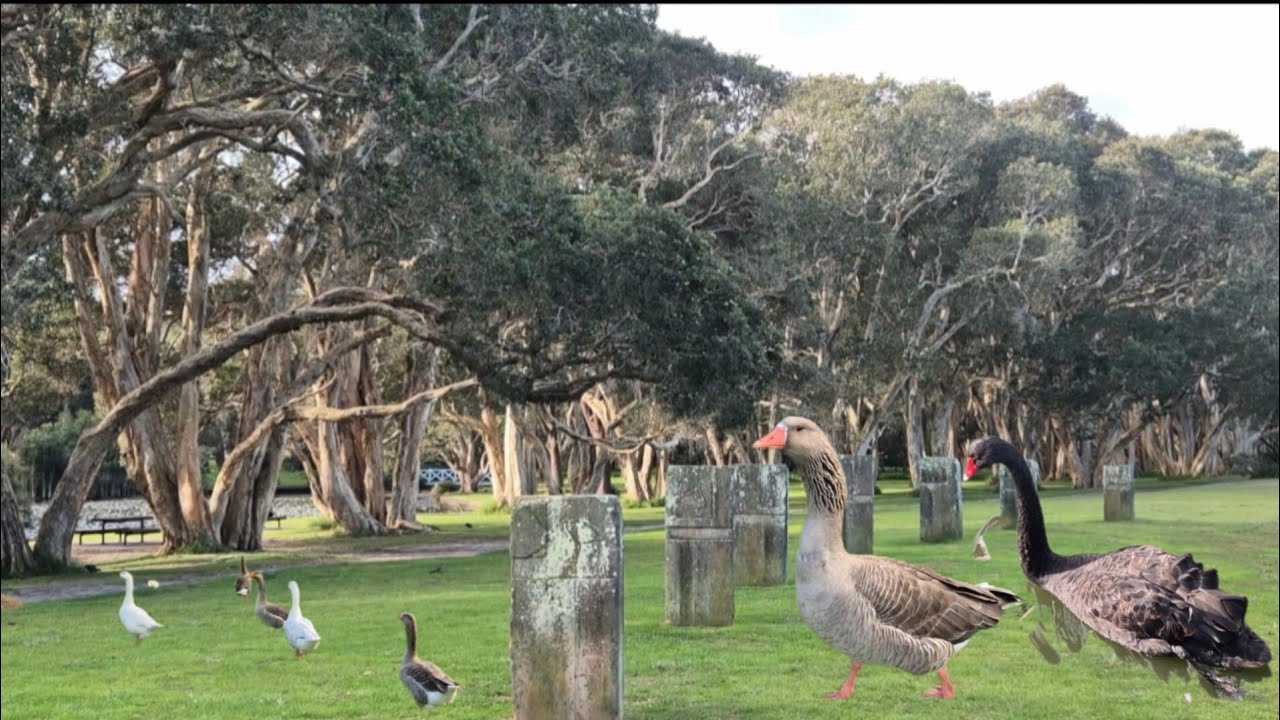 CENTENNIAL PARK WALKING TOUR