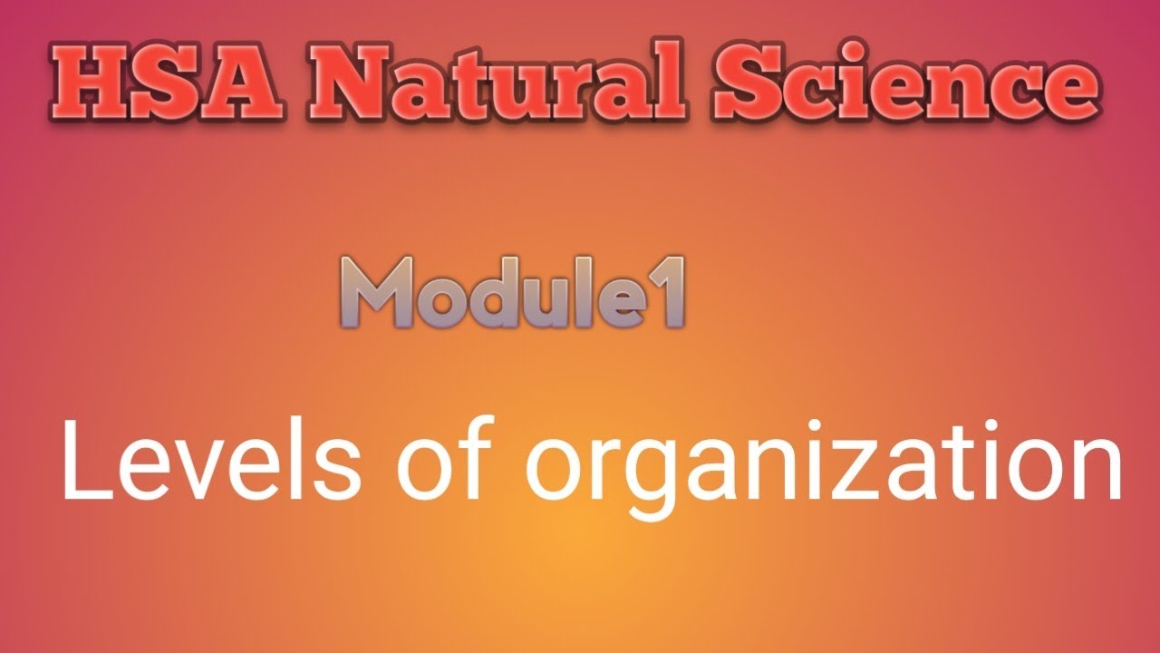 HSA Naturalscience Levels of organisation YouTube
