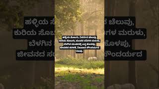 shortssheepkurubanaturemorningpeacehappyfreshnesssmileleavestrendinngshortskushinemmadi