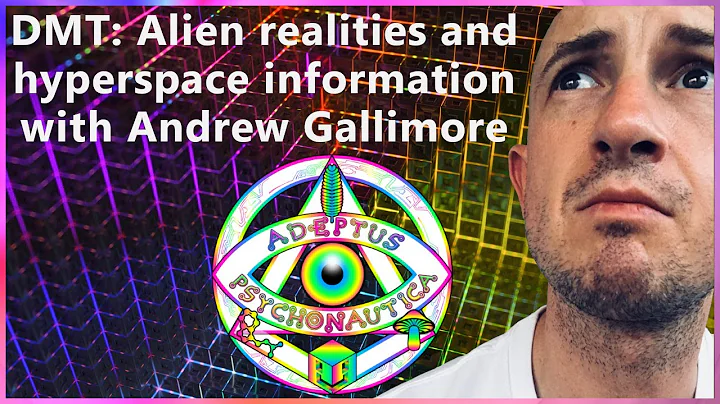 DMT: Alien realities and hyperspace information wi...