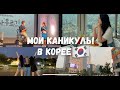 ВЛОГ: Каникулы Студента В Корее // Чем я занимаюсь в свободное время