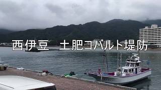 西伊豆土肥　コバルト堤防 【釣り場情報】Fishing point West-IZU TOI Cobalt weir