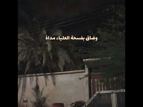 أريد الحب في قلب شريف