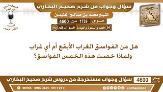 1739 - 4600 هل من الفواسق الغراب الأبقع أم أي غراب ولماذا خصت هذه الخمس الفواسق؟ ابن عثيمين