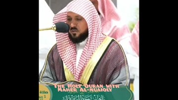 ما تيسر من سوره فصلت صلاة العشاء لفضيلة الشيخ ماهر المعيقلي 1 ربيع الآخر 1445