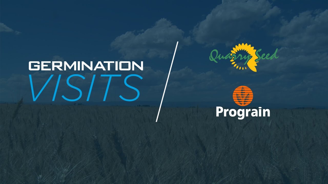 Germination Visits: Quarry Seed / Prograin seed world magazine