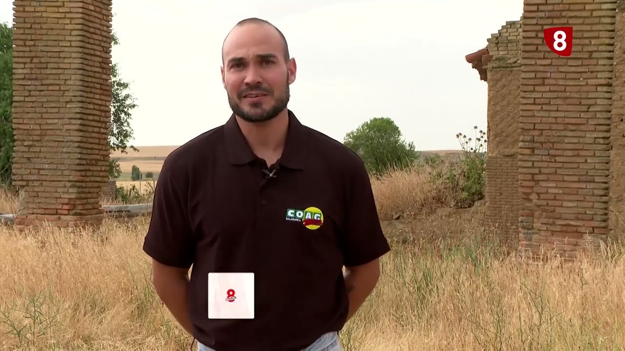 📺PROGRAMA CyLTV LA 8 Salamanca - 3 de junio de 2025