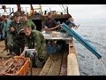 Пираты в Охотском море.Браконьерство на Дальнем Востоке