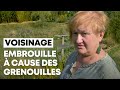 Conflit De Voisinage à Cause De Grenouilles Conflit De Voisinage à Cause De Grenouilles