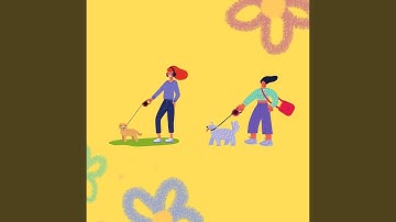 High Class Backdrops for Creative Doggy