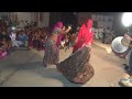 Rajasthani wedding  dance performances 2024