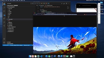 Display a Scrolling List of Web Images in Flutter