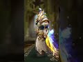 paladin overlord #wow #worldofwarcraft #warcraft