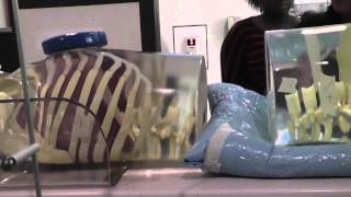 Broward College Radiation Therapy Program