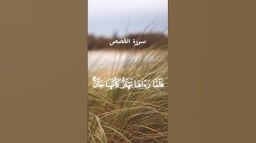 سورة القصص بصوت ياسر الدوسري ❤🤲🏻