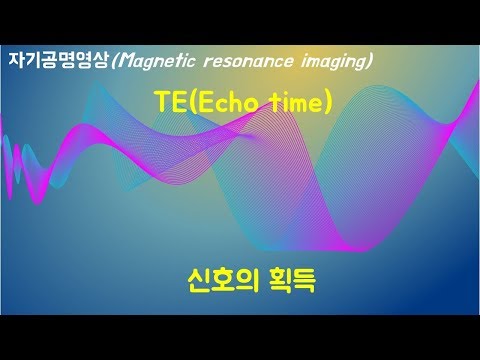 자기공명영상에서 TE(Echo time)란?