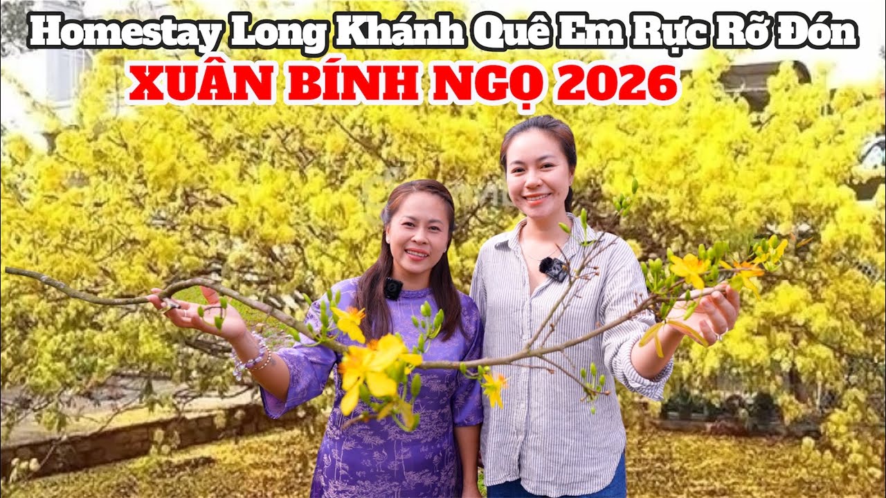 Ngỡ ngàng với Homestay triệu đô Long Khánh Quê Em của chị Phú đẹp rực rỡ đón Tết