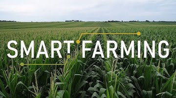 Smart Farming: Explore the Future of Technology and Innovation on the Farm