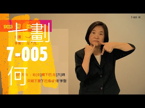 臺灣手語語料彙整【何】7 005