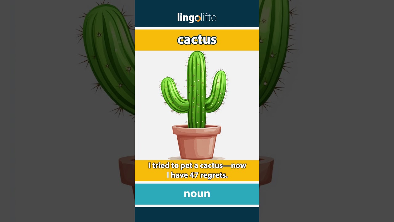 Cactus Meaning : Flash Card : Learn English Vocabulary - YouTube
