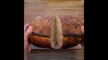 Sourdough crumb check - #shorts