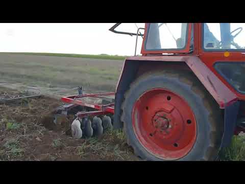 MTZ 552. ALFA STRUMYK. Ciąg dalszy talerzowania.