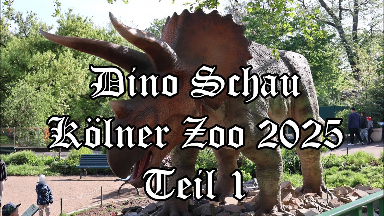 Dino Schau Kölner Zoo 2025 Teil1